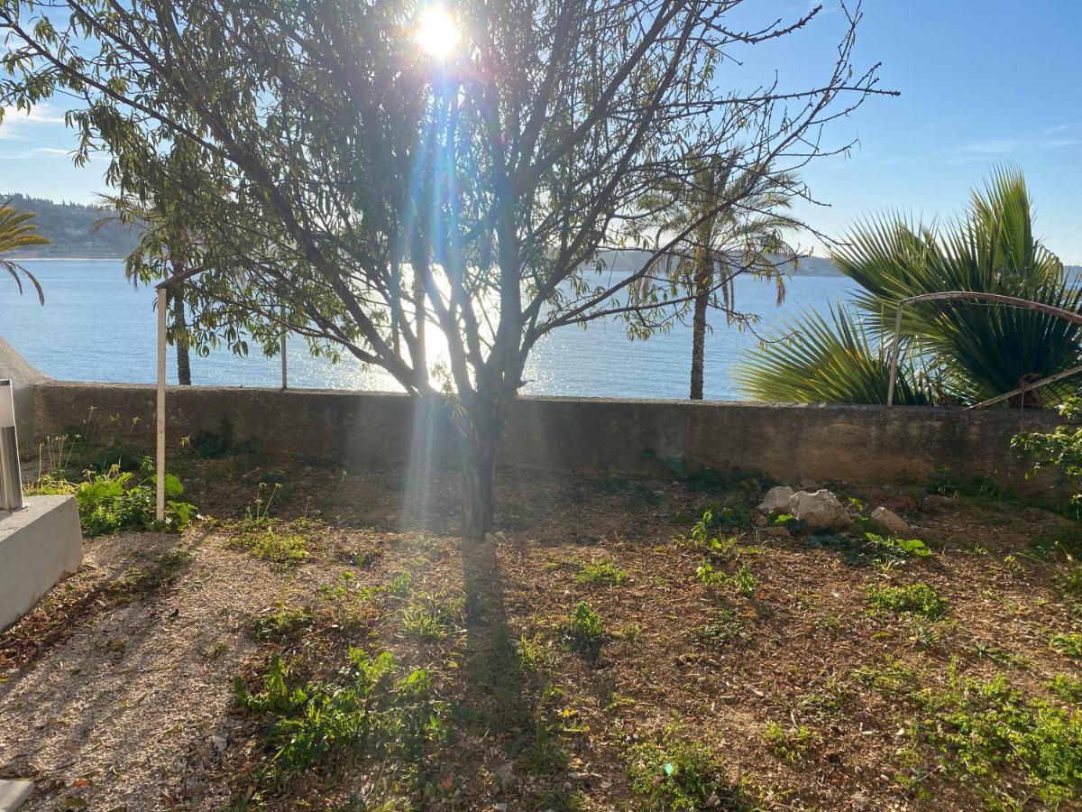Splendide Studio Miramar Vue Mer Avec Terrasse Bandol Buitenkant foto